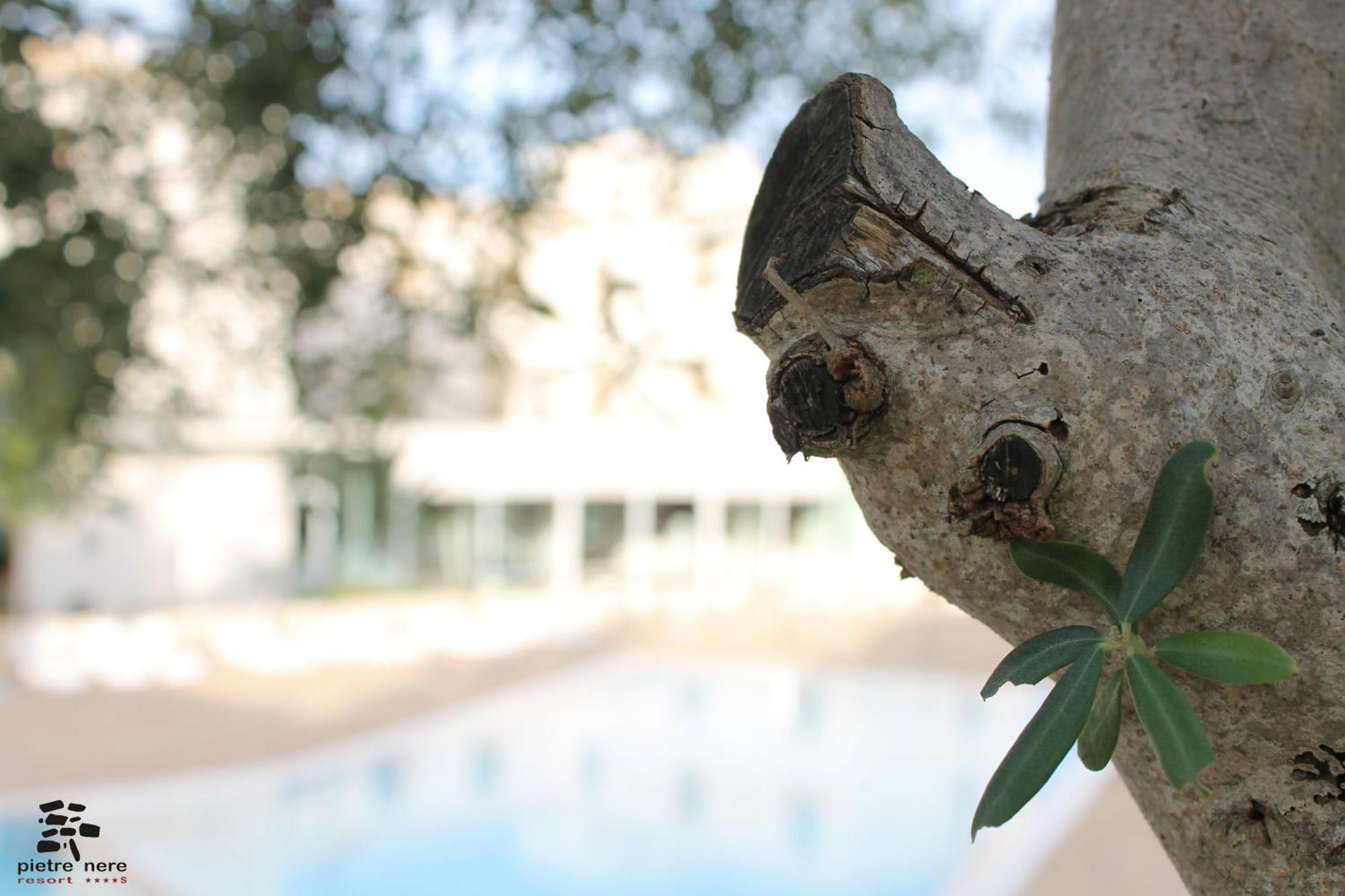 Pietre Nere Resort & Spa Модика Екстериор снимка